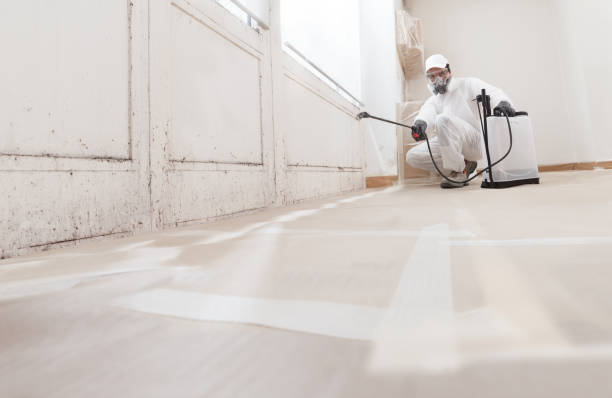 24/7 Emergency Mold Cleanup experts in Kingston, NY